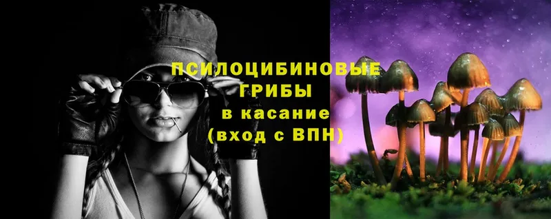 Псилоцибиновые грибы Magic Shrooms  MEGA как зайти  Верея 